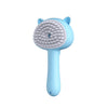 Multifunctional Cat Grooming Brush – Rechargeable with Mist